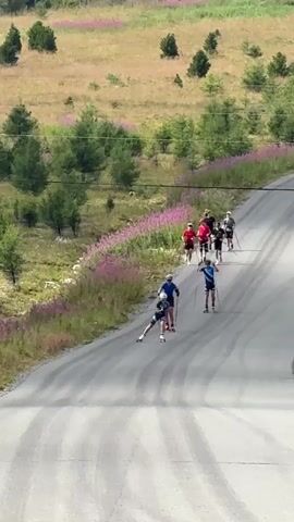 A group of eight people is roller skiing uphill on a paved road. The people are spaced out and spread across the road. The person in the front, wearing a blue shirt and helmet, is skiing with poles. Behind them, a person wearing a black shirt is also skiing with poles. Further back, a group of six people, mostly wearing red shirts, are skiing in a more scattered formation. The road is gray and appears to have tire tracks. On the left side of the road, there is a grassy slope covered with purple wildflowers and scattered green trees. The background shows a rolling landscape with more dry, yellowish grass and trees, under a bright sky. The camera angle is from above and to the side, looking down at the roller skiers.