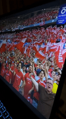Stadium performance with crowd captured on laptop screens