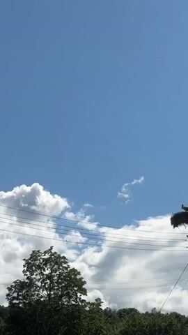 The video captures a bright, sunny daytime scene featuring a large bird's nest atop a utility pole. The sky is predominantly clear blue with scattered white cumulus clouds. Green tree foliage is visible in the lower left portion of the frame. Multiple power lines traverse horizontally across the middle of the view.

Initially, the video shows a wider perspective, with a large, white bird (likely a stork) perched within the substantial stick nest on the utility pole, positioned on the right side of the frame. The camera then slowly zooms in, bringing the nest and the bird into closer focus.

As the zoom continues, the intricate structure of the nest, built from numerous sticks and branches, becomes more apparent. The stork remains largely still within its nest, occasionally its head or part of its body is visible against the clear sky. The lower part of the utility pole, with various attached electrical components, is also briefly visible as the camera adjusts its framing. The scene conveys a peaceful, rural setting on a beautiful day. No text is visible in the video.