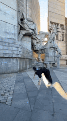 Parkour performer executes acrobatic moves at Bulgaria monument