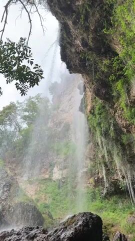 The camera is positioned behind the veil of a waterfall, looking up and out at the surrounding landscape. The perspective is low, with large, wet rocks in the foreground. To the left of the frame, branches with green leaves overhang, and a few trees are visible in the background.  The waterfall itself plunges from a height above, creating a misty spray that fills the air. The rock face beside the waterfall is covered in greenery, with long vines or moss hanging down. The sky above is overcast, creating a soft, diffused light.  The overall impression is one of being enclosed within a lush, damp, and natural environment.
