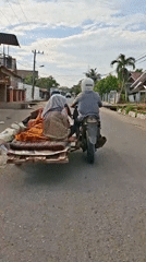 Morning street life captured in Lhokseumawe: motorcyclist, perched bird