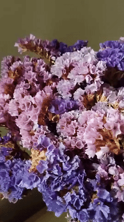 Decorative flowers and Chinese art documented in Go Maya