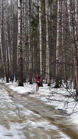 The video shows a winter marathon in a birch forest. Runners are navigating a path partially covered in snow and icy slush. Some spectators stand on the side, watching and cheering. The path is marked with pink tape. The birch trees are bare, suggesting early spring. Some runners are dressed in shorts and short sleeves, while others have more layers. A runner in red is prominent at the beginning of the video.