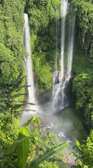 Morning swimmers gather at Indonesia's multi-tiered Sekumpul Waterfall