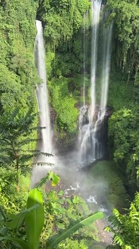Morning swimmers gather at Indonesia's multi-tiered Sekumpul Waterfall