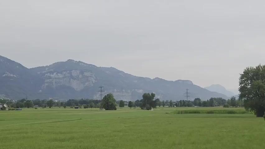 The video is a static wide shot of a rural landscape under an overcast sky. A vast, vibrant green field occupies the foreground, with subtle undulations and some lighter green grass patches. In the mid-ground, a line of trees, some dense and leafy, others more sparse, stretches across the landscape. Interspersed among the trees are scattered buildings, appearing as small houses and sheds, some with chimneys. Several tall, dark electricity pylons are visible throughout the mid-ground, standing out against the muted background. Beyond the trees and buildings, a range of imposing mountains forms the horizon. These mountains are layered, with distinct peaks and ridges, some appearing rocky and barren, others covered in dark green vegetation. The sky is a uniform light grey, obscuring any direct sunlight and giving the scene a diffused, almost hazy appearance. There are no visible people or animals.