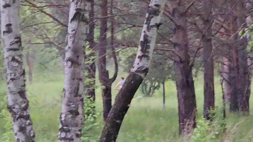 The video shows a forest scene with several birch trees in the foreground. In the background, a person wearing a pink shirt and dark shorts is walking through tall green grass, partially obscured by trees and foliage. The person moves from right to left across the frame and then disappears behind a tree. The lighting suggests an overcast day.