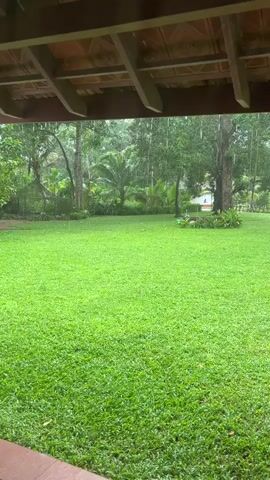 The video shows a view from under a covered porch looking out onto a lush green lawn during a rain shower. Trees and foliage are visible in the background, some with palm fronds. The rain is falling steadily, creating a natural, serene environment.