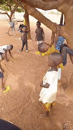Children play under trees in Dungu, Ghana
