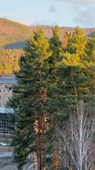 Golden hour forest scenes with brick building captured