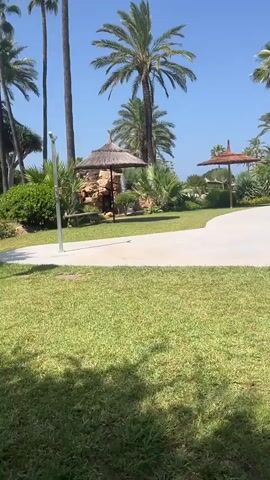 This is a vertical video taken on a sunny day. The scene is a resort with a pool. In the foreground, there is a lush green lawn. A paved walkway curves through the scene. Beyond the walkway is a bright blue swimming pool with a white border. In the background, there are several tall palm trees and a multi-story building with green awnings. There are also some thatched umbrellas and rock formations, with a small waterfall visible behind one of the umbrellas. A water slide is visible on the right side of the pool. The sky is clear and blue.