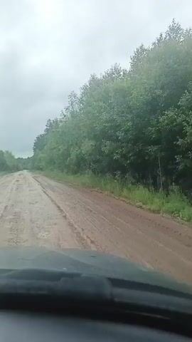 This is a first-person perspective video of a vehicle driving on a dirt road. The road is unpaved and appears to be muddy with visible tire tracks. To the right of the road is a dense line of green trees and foliage. The sky is overcast and gray. The video captures the movement of the vehicle forward, showing the road and the surrounding natural environment. The camera appears to be mounted inside the vehicle, looking forward through the windshield.