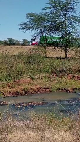 The video shows a slow-moving, polluted stream in the foreground, and a roadway on a small embankment in the background. Trees line the roadway. Traffic is moving on the road, including a large Evergreen shipping container on a truck and a large bus bearing the name "ANSET." The sky is blue and clear. The day appears to be sunny. The stream water is murky and polluted, with debris visible on the surface. The vegetation surrounding the stream is mostly dry grass and shrubs.