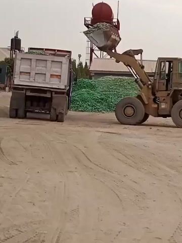 A front-end loader is shown in the process of emptying its bucket load of a mass of green materials into the back of a truck.  The loader, painted yellow, is situated on a dirt or sand-covered lot, and has its bucket elevated over the bed of a gray-colored dump truck. Smoke from the loader's exhaust drifts away as the contents of the bucket are released.  In the background, there is a tall water tower with a red spherical top and a collection of green materials next to a building.  The sky is overcast.