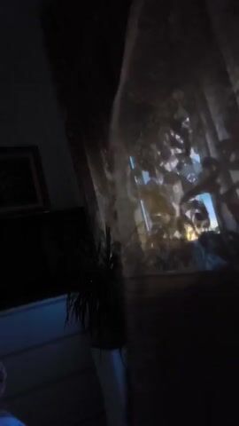 A dimly lit room with a patterned curtain in the foreground. Through the curtain, a window is visible with blue and yellow light. To the left of the curtain, a framed picture is visible on a wall, and below it, a television screen. A plant in a white pot is positioned in front of the television. The camera moves slightly, causing the curtain to sway.