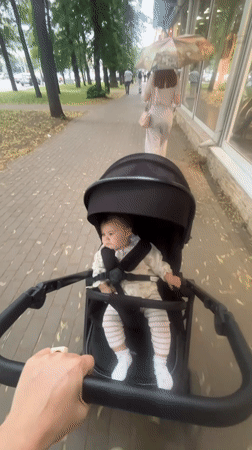 Stroller walk along a paved path in Voronezh