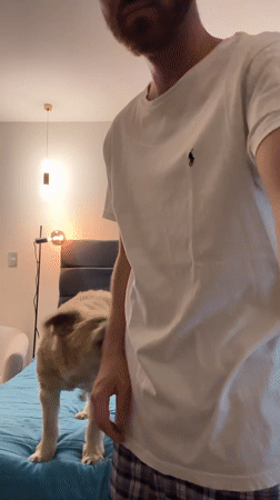Man plays with dogs, takes selfie in Mexico bedroom