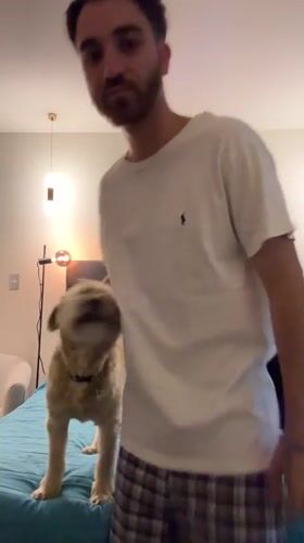 Man plays with dogs, takes selfie in Mexico bedroom