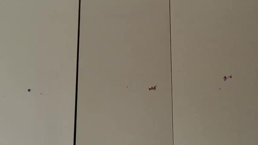 The video shows a close-up of a light-colored, vertical surface, possibly a wall or a cabinet. There are three vertical divisions, suggesting panels or doors. Small, colorful marks, appearing to be smudges or remnants of paint or stickers, are scattered across the surface. Specifically, there is a small blue mark on the left panel, a reddish-orange mark in the middle panel, and a cluster of red and blue marks on the right panel. The lighting is dim and appears to come from the side, creating subtle shadows. The surface is slightly textured and appears clean aside from the small marks.