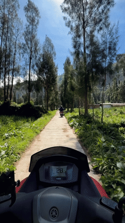 Scooter ride and crop fields near Mount Bromo, East Java