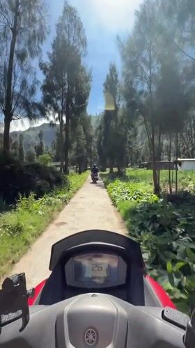 Scooter ride and crop fields near Mount Bromo, East Java