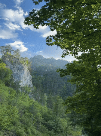 Traveler captures Montenegro mountain scenery from moving vehicle