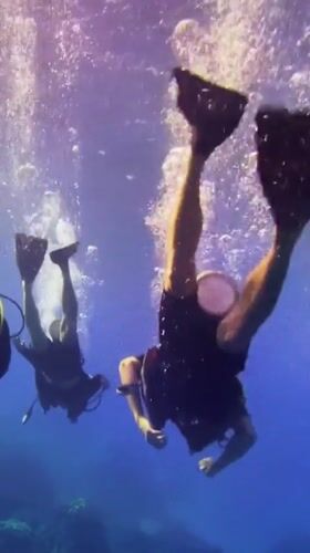 Three scuba divers spotted inverted underwater near Stavropol