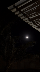 Full moon observed through palm trees in North Kuta