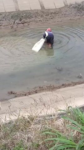 A person wearing a red helmet and a blue shirt is in shallow, murky water, bent over and holding a white bag. The person is standing in a concrete ditch, with muddy banks and dry, cracked earth visible on the sides. Dry grass and some green plants grow along the edge of the ditch in the foreground. The water is rippling around the person.