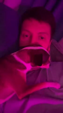 A person and a small dog are in a close embrace, illuminated by purple and pink lighting. The person's face is partially obscured by the dog, but their eyes are visible. The dog is positioned on the person's chest, with its head near the person's face. The person appears to be lying down, possibly in bed, given the soft lighting and comfortable posture. The overall scene conveys intimacy and affection between the person and their pet.