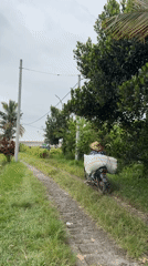 Rural motorcycle transport and temple statue observed in Marga