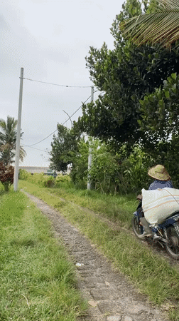 Rural motorcycle transport and temple statue observed in Marga