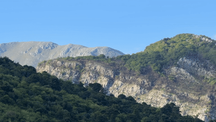 Witness captures cats, mountains, and coastal scenes Thursday afternoon