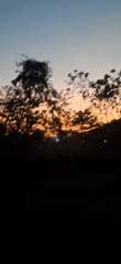 Sunset captured through trees in Vallecito, Venezuela