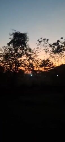 Sunset captured through trees in Vallecito, Venezuela