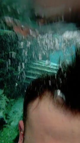 A man is submerged in water, looking at the camera. A lot of particles are floating in the water around him. The water is relatively clear, and some green underwater vegetation is visible in the background.  The man has a beard and short hair.