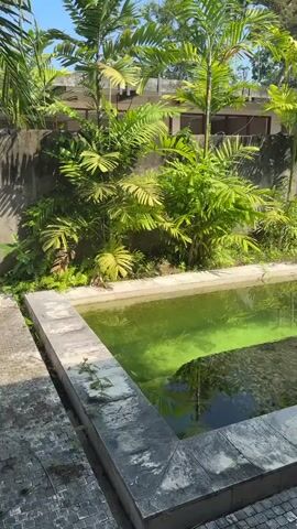 The video shows an outdoor scene with a rectangular body of green water, possibly a pool, surrounded by lush vegetation and palm trees. The water appears still and reflects the surrounding greenery and blue sky. A woman wearing a bikini top, a short skirt, sunglasses, and a hat walks along the edge of the pool on a tiled pathway. She is walking from right to left in the frame. The background includes a concrete wall and some rudimentary structures, suggesting a somewhat undeveloped or natural setting. The sunlight is bright, indicating a clear day. The pool itself has a concrete edge and appears to have some debris or submerged structures within it.