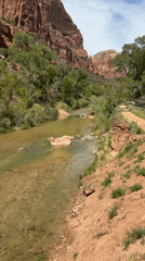 Visitor captures Zion National Park scenery during evening documentation
