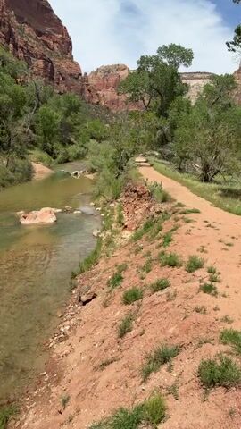 The video captures a scenic view of a river flowing through a canyon with towering red rock mountains. The camera slowly pans from right to left, revealing more of the landscape.

In the foreground to the right, a reddish-brown dirt path runs parallel to the river. The river, likely the North Fork Virgin River, occupies the midground, with clear, shallow water revealing rocks and sand at its bottom, along with some greenish-tinted sections. Lush green trees and shrubs line both banks of the river, contrasting with the vibrant red and orange hues of the massive rock formations in the background.

As the camera pans left, more of the canyon walls become visible, showing intricate geological layers. A very small, distant figure wearing red clothing can be seen high up on the left hillside among the trees and rocks. The sky above is partly cloudy, suggesting a bright daytime setting. The overall impression is one of a majestic and tranquil natural environment, characteristic of areas like Zion National Park near Springdale, United States. There is no visible text.
