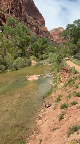 Visitor captures Zion National Park scenery during evening documentation