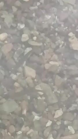 The video shows a close-up of a gravelly surface, possibly the bottom of a stream or pond. Small pebbles and rocks of various colors and sizes are visible. In the center of the frame, a small, light-colored object, possibly a fish, is briefly visible before disappearing. The overall lighting is dim and diffused, suggesting an underwater environment. The audio consists of indistinct voices, with one voice saying "иди давай, писи. Что, одна?" which translates to "Come on, pee. What, alone?". This audio does not appear to relate to the visual content of the video.
