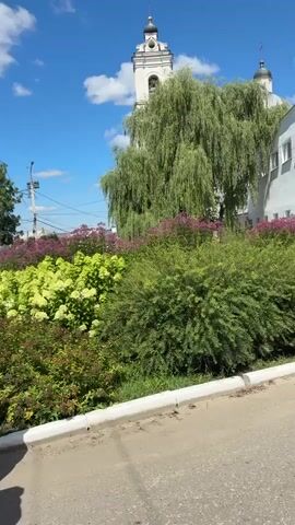 A panning shot captures a building with a mural on its side, a large weeping willow tree, and a bell tower against a blue sky with scattered clouds. In the foreground, a paved road with a white curb runs alongside a lush green garden filled with various plants, including hydrangeas and lilac bushes. A white SUV is parked near the building. The mural on the building depicts two stylized human figures holding circular objects and a central staff-like symbol.