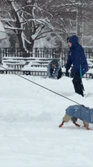 Winter fun spotted in snowy New York park