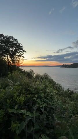 This is a vertical video clip filmed at dusk. The scene shows a body of water, likely a river or lake, with land on the far side. The sky is partly cloudy with hues of orange and yellow near the horizon, indicating sunset or sunrise. In the foreground, there is lush green vegetation, with trees on the left side of the frame. The water is calm, reflecting the colors of the sky. There are no people or discernable man-made objects visible in the clip. The overall ambiance is peaceful and natural.