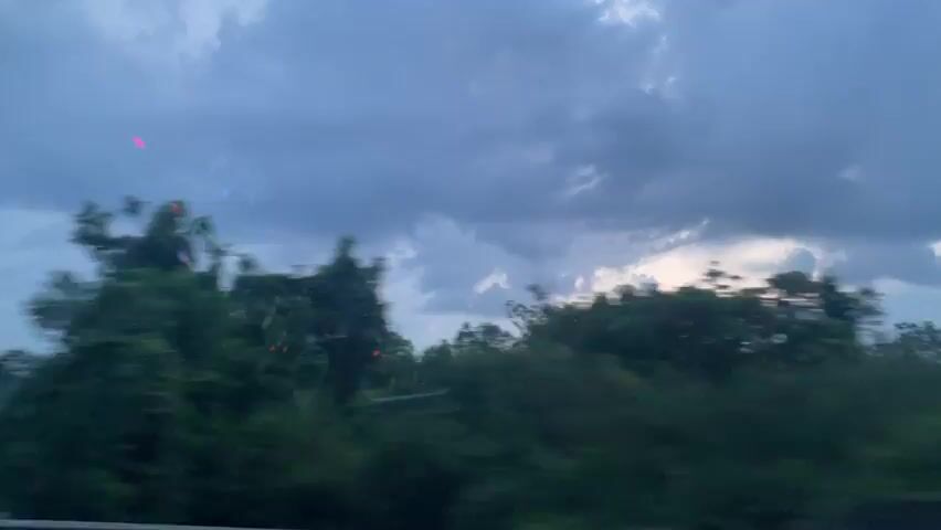 The video shows a blurred view of trees and the sky from a moving vehicle. The sky is cloudy and appears to be dusk or dawn. There are some colorful lights visible on the left side of the frame, possibly reflections on the window or distant lights. The trees are dark green and appear dense. The motion blur suggests the video was taken while traveling at a moderate speed.
