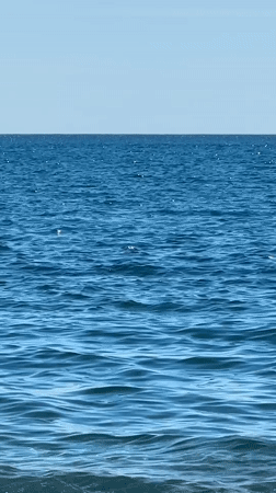 Witness documents peaceful morning scenes along Montenegro's Adriatic coast
