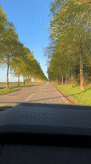 Driver records journey through tree-lined rural road in Roskilde
