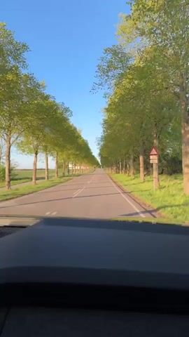 The video shows a view from inside a car driving down a straight, rural road lined with trees on both sides. The road is asphalt with white lines dividing the lanes. The trees are green and lush, and the sky is clear and blue. The car appears to be moving at a moderate speed. A speed limit sign is visible on the left side of the road. The surrounding landscape consists of fields and vegetation. The dashboard of the car is visible at the bottom of the frame.