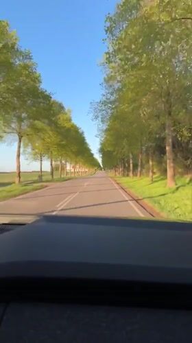 Driver records journey through tree-lined rural road in Roskilde